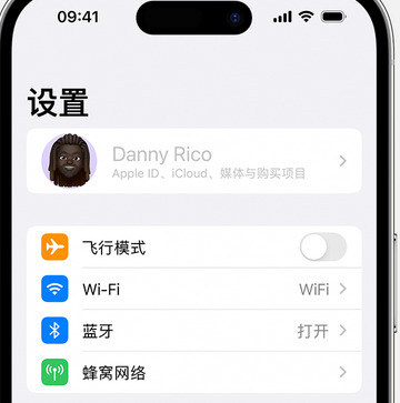 黄圃镇appleID维修服务iPhone设置中Apple ID显示为灰色无法使用 