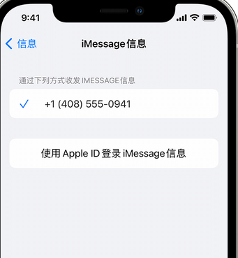 黄圃镇apple维修iPhone上无法正常发送iMessage信息 