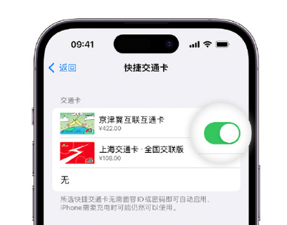 黄圃镇apple维修点分享iPhone上更换Apple Pay快捷交通卡手绘卡面 