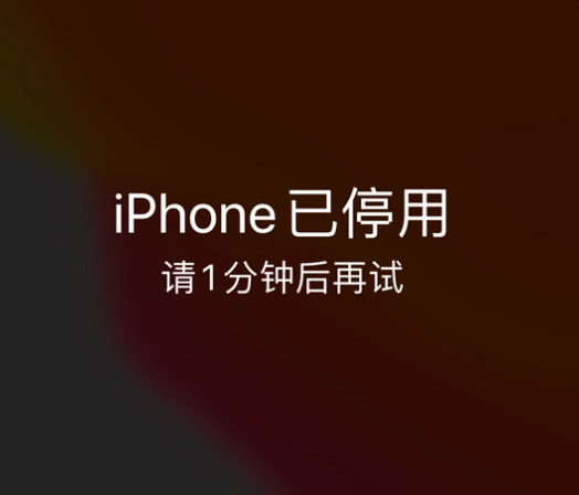 黄圃镇苹果手机维修分享:iPhone 显示“不可用”或“已停用”怎么办？还能保留数据吗？ 