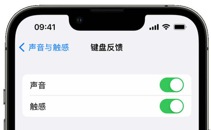 黄圃镇苹果手机维修分享iPhone 14触感键盘使用方法 