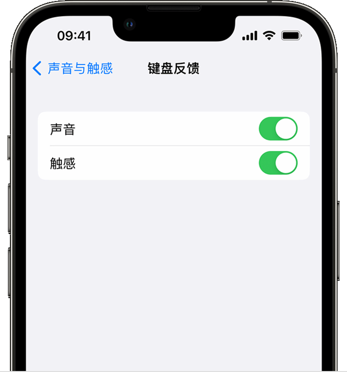 黄圃镇苹果14维修店分享如何在 iPhone 14 机型中使用触感键盘 