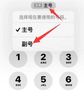 黄圃镇苹果14维修店分享iPhone 14 Pro Max使用副卡打电话的方法 