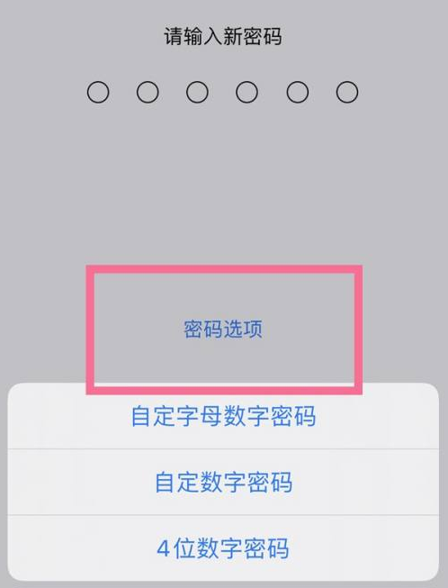 黄圃镇苹果14维修分享iPhone 14plus设置密码的方法 