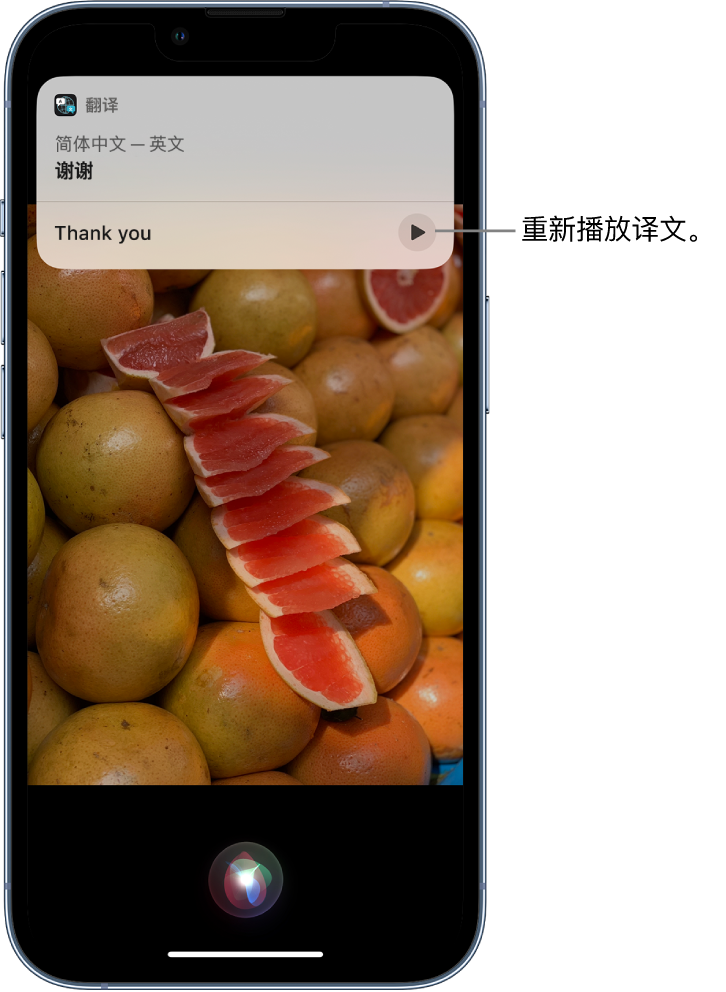 黄圃镇苹果14维修分享 iPhone 14 机型中使用 Siri：了解 Siri 能帮你做什么 