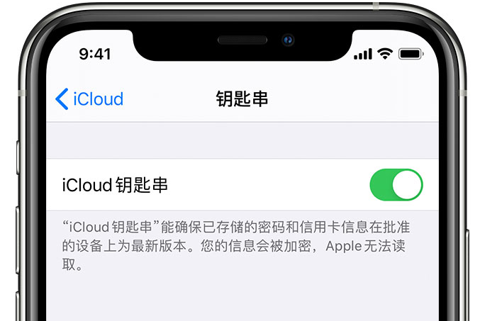 黄圃镇苹果手机维修分享在 iPhone 上开启 iCloud 钥匙串之后会储存哪些信息 