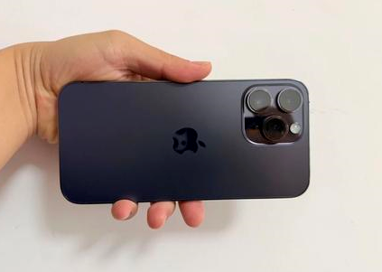 黄圃镇苹果维修点分享iPhone 14 Pro Max黑屏少见故障盘点 
